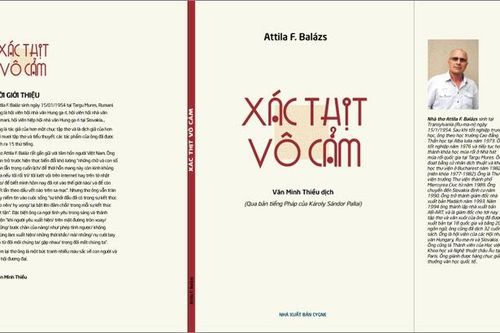 Và điều gì sẽ hiển lộ giữa những làn điệu tư tưởng?