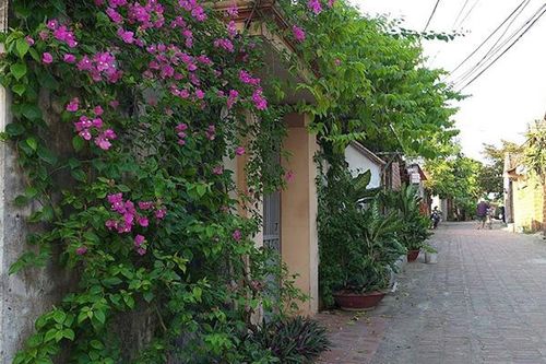 Mẹ tôi tặng mảnh đất ngàn m2 cho con dâu trước khi mất