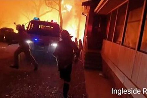 Cháy rừng kinh hoàng tại Úc, 10 người thiệt mạng, 480 triệu động vật bị thiêu chết