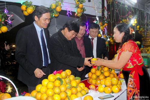 'Con đường cam Vinh' trong lễ hội chào đón năm mới 2020 ở Nghệ An