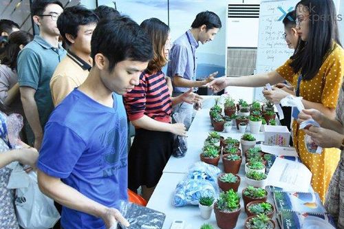 Tek Experts, điều bất ngờ trong một công ty công nghệ đa quốc gia