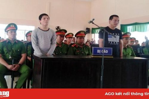 Cố chối tội nhưng vẫn không thoát tội