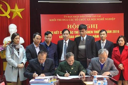 Các tổ chức xã hội – nghề nghiệp: Đẩy mạnh phong trào thi đua toàn diện