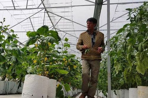 Cận cảnh những mô hình liên kết