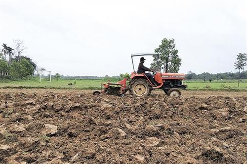 Tập trung mọi nguồn lực cho sản xuất vụ đông xuân