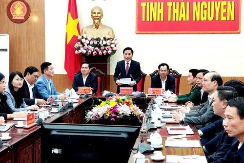 Khẩn trương triển khai thực hiện nhiệm vụ phát triển kinh tế - xã hội ngay từ đầu năm