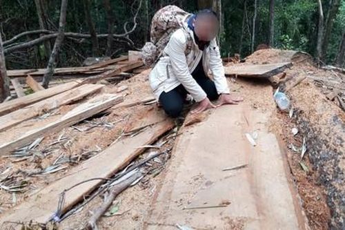 Làm rõ thông tin cán bộ xã thuê người cưa gỗ về sửa nhà
