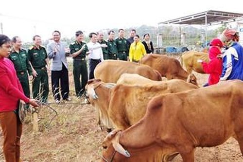 Nỗ lực giúp đồng bào no ấm
