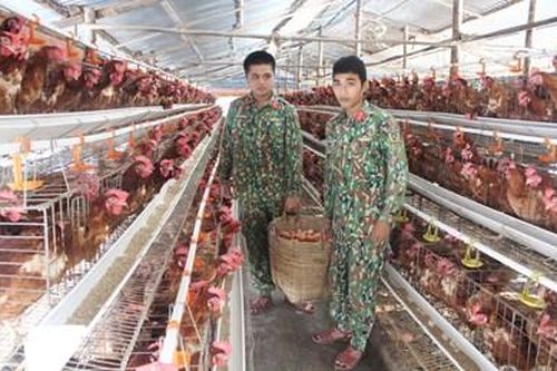 Chủ động nguồn cung hậu cần trong dịp Tết và các nhiệm vụ