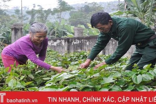 Học Bác, hàng ngày tự soi, tự sửa, tự nhắc mình