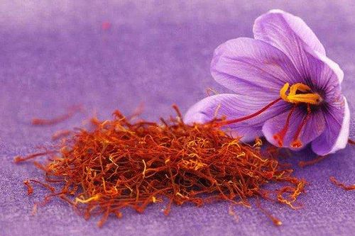 4 loài hoa đắt nhất thế giới