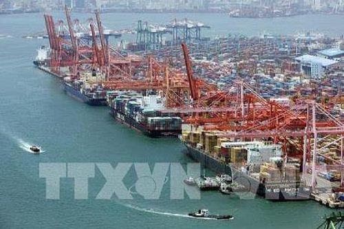 Kim ngạch xuất khẩu của Hàn Quốc lần đầu tiên giảm hai con số