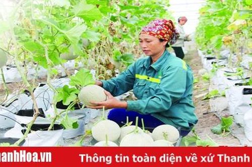 Nông nghiệp chuyển mình theo hướng ứng dụng công nghệ cao