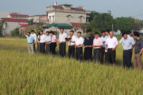 Nâng cao hiệu quả hoạt động của các hợp tác xã