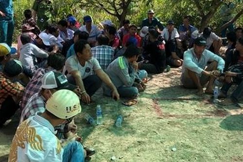 Xóa sổ trường gà ở Cà Mau trong ngày Tết Dương lịch