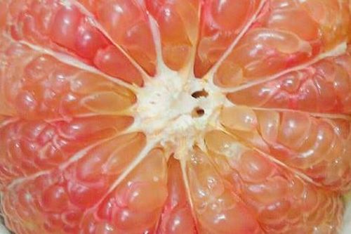 Bưởi đúng vụ ngon và bổ nhưng ăn kiểu này sẽ rước bệnh vào thân