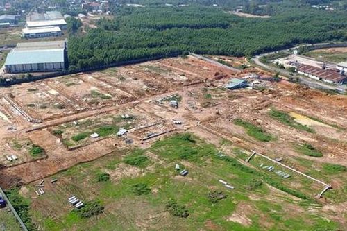 Thu hồi gần 1.800 ha đất trồng cao su để thực hiện dự án sân bay Long Thành