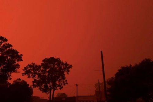 Australia: nhiều vùng đất tan hoang sau cháy rừng