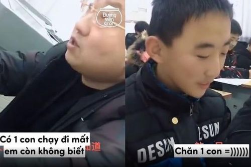 Bị thầy mắng 'học thế này làm sao chăn bò', trò đáp siêu bá đạo