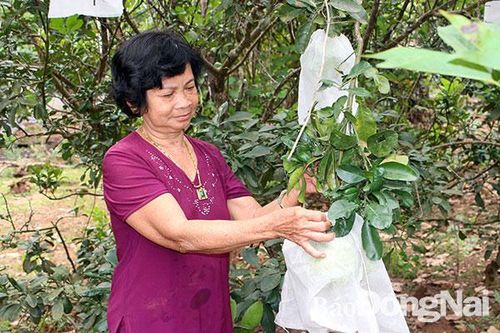 Niềm vui ở Đồi 57