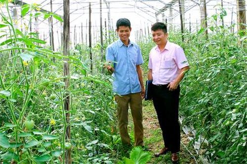 Nông nghiệp Ninh Bình hướng tới mục tiêu nâng cao giá trị và phát triển bền vững