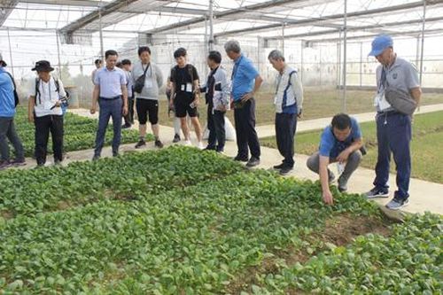 'Tôi sẽ là nông dân 4.0'