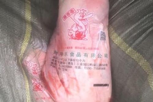 Kinh hoàng thịt vịt nhập lậu từ Trung Quốc về Hà Nội tiêu thụ