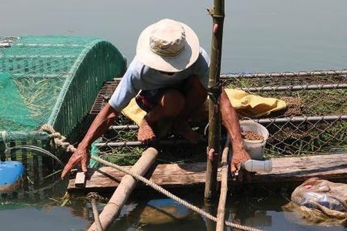 Phó chủ tịch phường bị điện giật chết