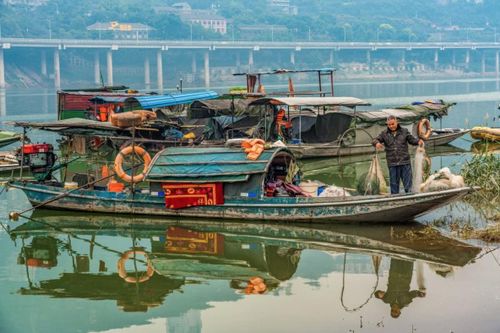 TQ cấm đánh bắt cá trên sông Dương Tử 10 năm để bảo vệ hệ sinh thái