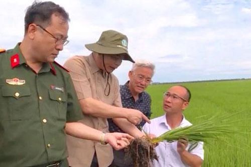 Tổng công ty Kinh tế Kỹ thuật công nghiệp Quốc phòng liên kết phát triển nông nghiệp xanh bền vững