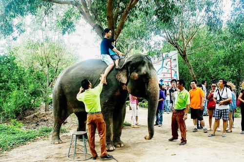 Ngày Tết đến Suối Hoa Lan