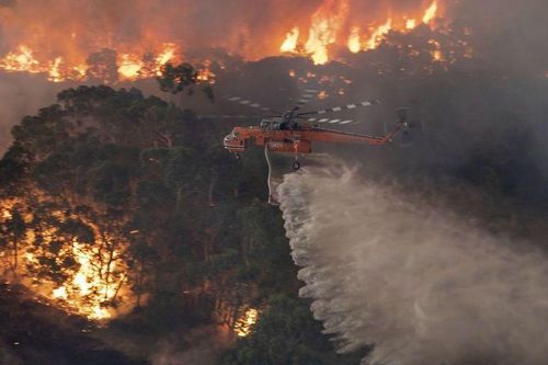 Ngành du lịch Australia thiệt hại hàng trăm triệu USD do cháy rừng
