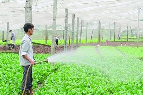 Thành phố Hà Nội: Động lực cho phát triển bền vững