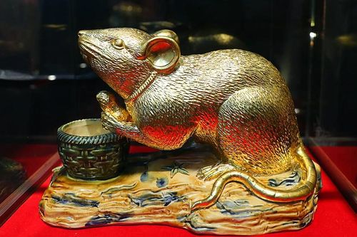 Mục sở thị chuột mạ vàng - 'Kỳ linh Canh Tý' giá hàng chục triệu đồng