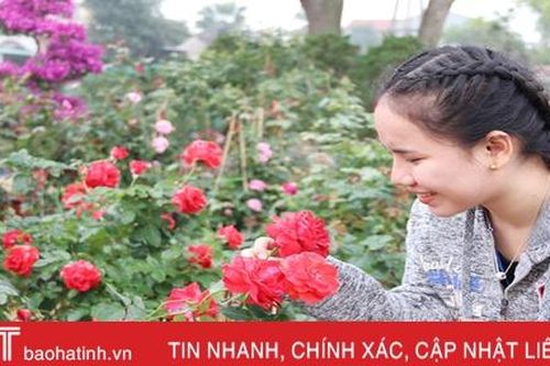 Những làng hoa ở Hà Tĩnh bung nụ đón tết