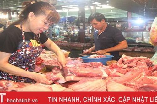 Hà Tĩnh có 60 ngàn con lợn thịt xuất bán dịp Tết Nguyên đán