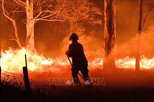 Cháy rừng ở Australia: Bang Victoria ban bố tình trạng thảm họa