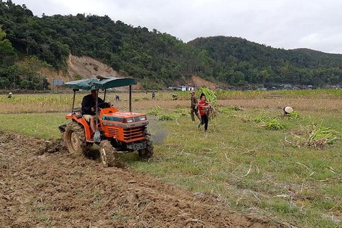 Tập trung sản xuất vụ đông xuân