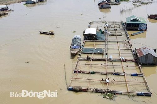 Huyện Định Quán có trên 2,5 ngàn hộ nuôi trồng và đánh bắt thủy sản