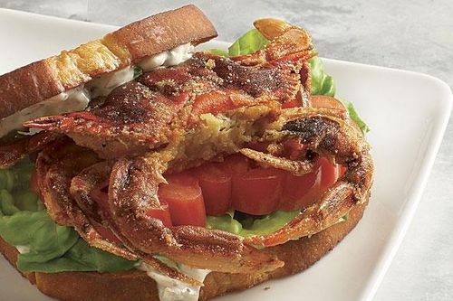Nếm vị sandwich kẹp cua nguyên con ở Mỹ