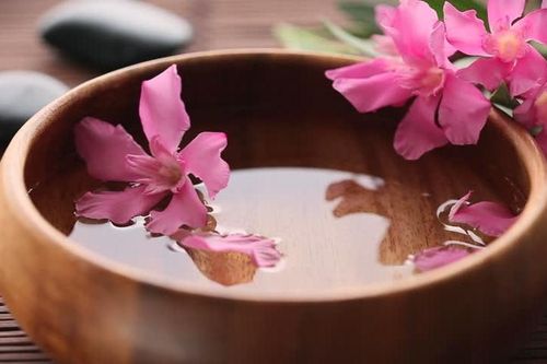 Tử vi Chủ nhật ngày 5/1/2020 của 12 cung hoàng đạo