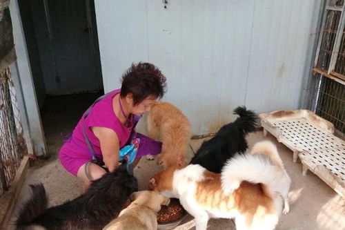 Người phụ nữ 68 tuổi bị chồng con xa lánh vì sở thích lạ