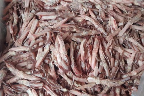 Hàng tấn lưỡi vịt Trung Quốc đông lạnh đổ về Việt Nam