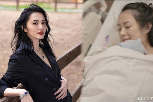 Diêu Thần bị dân mạng chỉ trích với lời chúc 'kém sang' gửi tới Chương Tử Di khi vừa sinh con