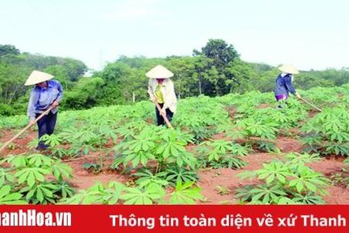 Huyện Ngọc Lặc xây dựng xã an toàn thực phẩm