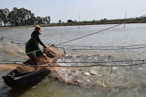 Năm 2019, bức tranh ngành công nghiệp có nhiều điểm sáng