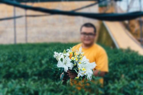 Nhiều giống rau, hoa được nhập mới