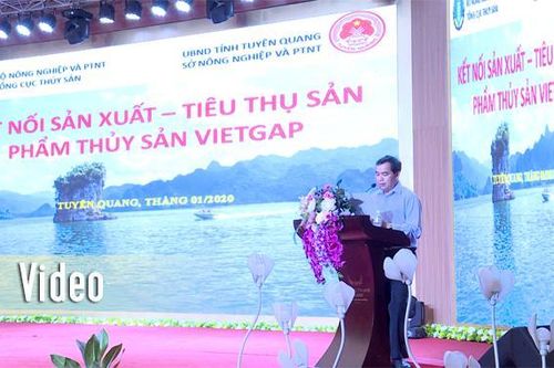 Hội nghị kết nối sản xuất - tiêu thụ sản phẩm thủy sản VietGAP