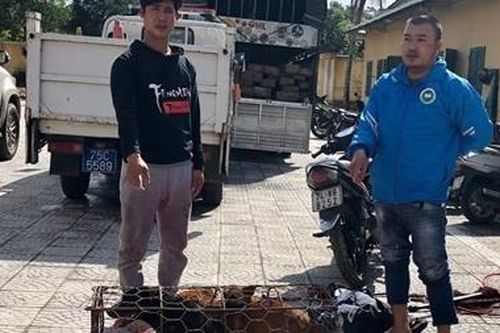 Dùng bình xịt hơi cay, ớt bột để trộm chó