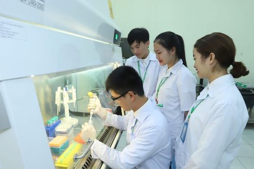 Xếp hạng Đại Học Việt Nam thông qua nghiên cứu: Trọng chất hơn trọng lượng